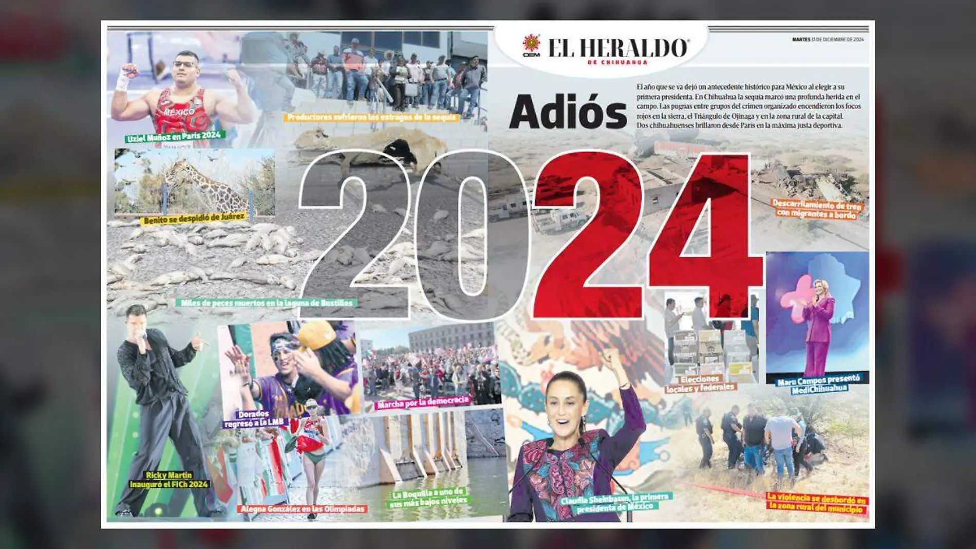 portada suplemento 2024